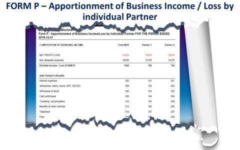 Form P - Apportionment of Business Income/Loss by Individual Partner
